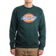 DICKIES SW PITTSBURGH - FOREST